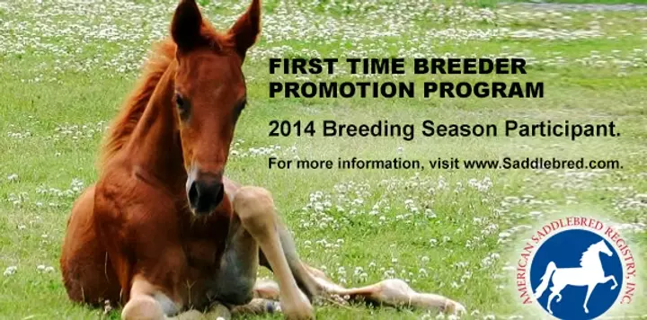 _MConverter.eu_3877be_d08addc2bd274058b078acffa50769a2