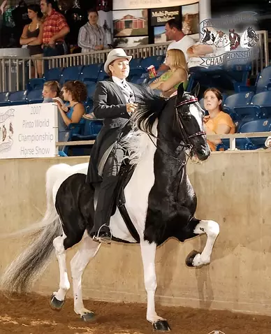 _MConverter.eu_3877be_fde8c11546e440d554d786b9e53b00cd